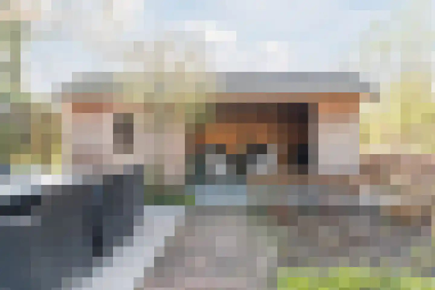 Ridderspoor 9 Culemborg thumbnail 41