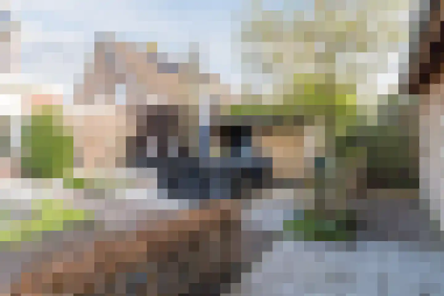 Ridderspoor 9 Culemborg thumbnail 43