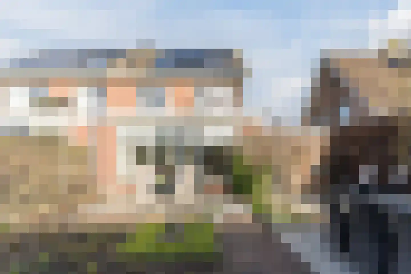 Ridderspoor 9 Culemborg thumbnail 44
