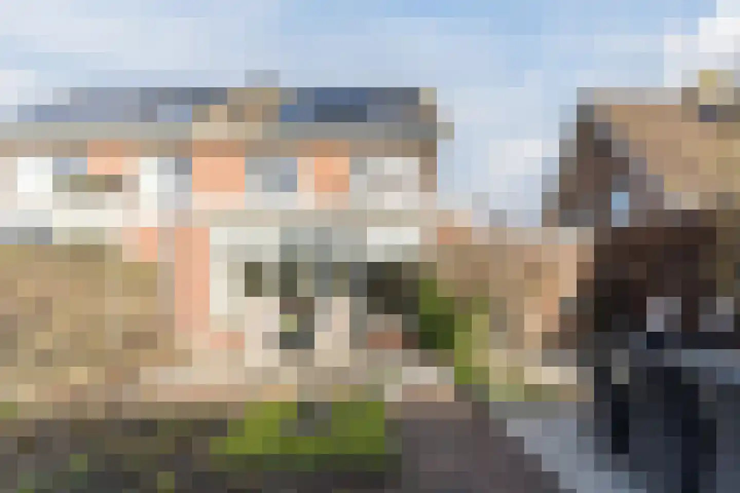 Ridderspoor 9 Culemborg thumbnail 44