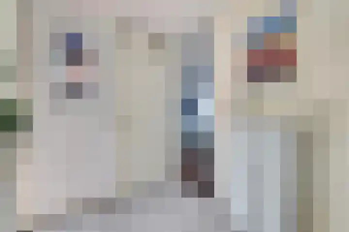Ridderspoorhof 10 Papendrecht thumbnail 20