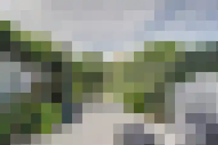 Ridderspoorhof 10 Papendrecht thumbnail 33