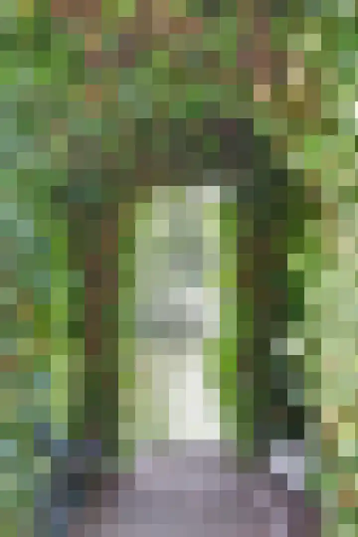 Ridderspoorhof 10 Papendrecht thumbnail 36