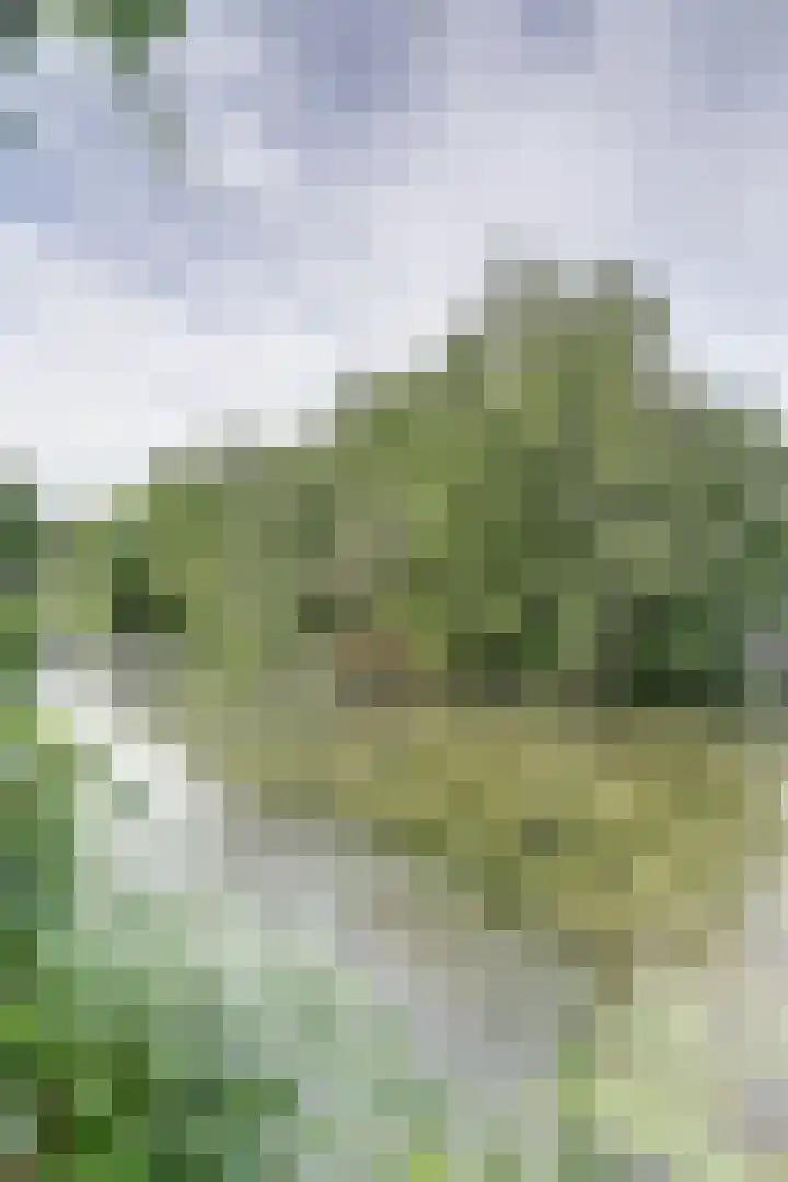 Ridderspoorhof 10 Papendrecht thumbnail 37