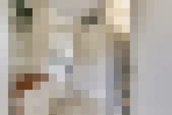 Ridderspoorhof 10 Papendrecht thumbnail 8
