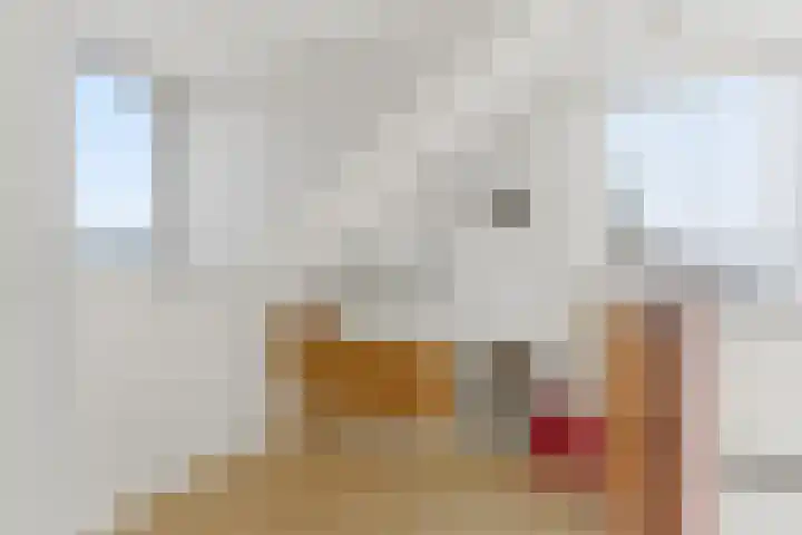 Ridderspoorhof 11 Papendrecht thumbnail 43