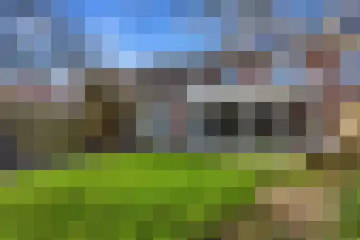 Ridderspoorhof 11 Papendrecht thumbnail 50