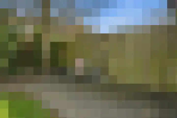 Ridderspoorhof 11 Papendrecht thumbnail 55