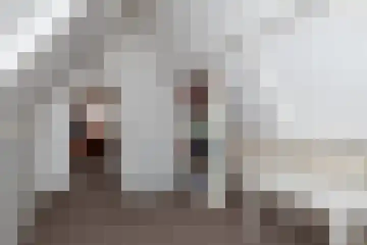 Ridderspoorhof 23 Papendrecht thumbnail 23