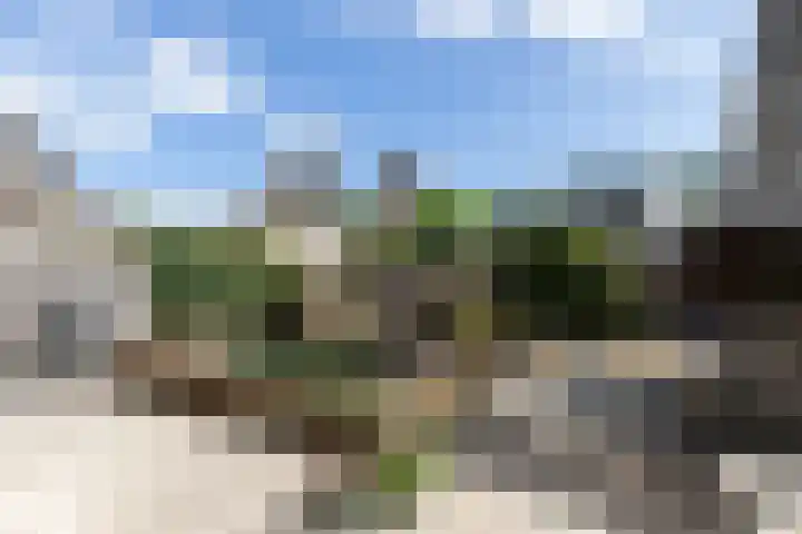 Ridderspoorhof 23 Papendrecht thumbnail 4