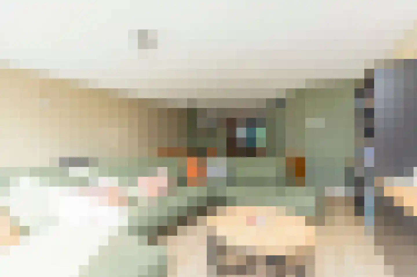 Ridderspoorhof 4 Papendrecht thumbnail 11
