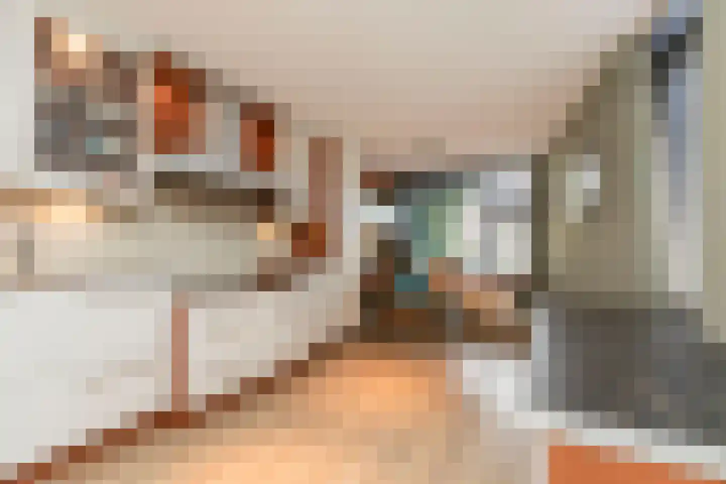 Ridderspoorhof 4 Papendrecht thumbnail 13