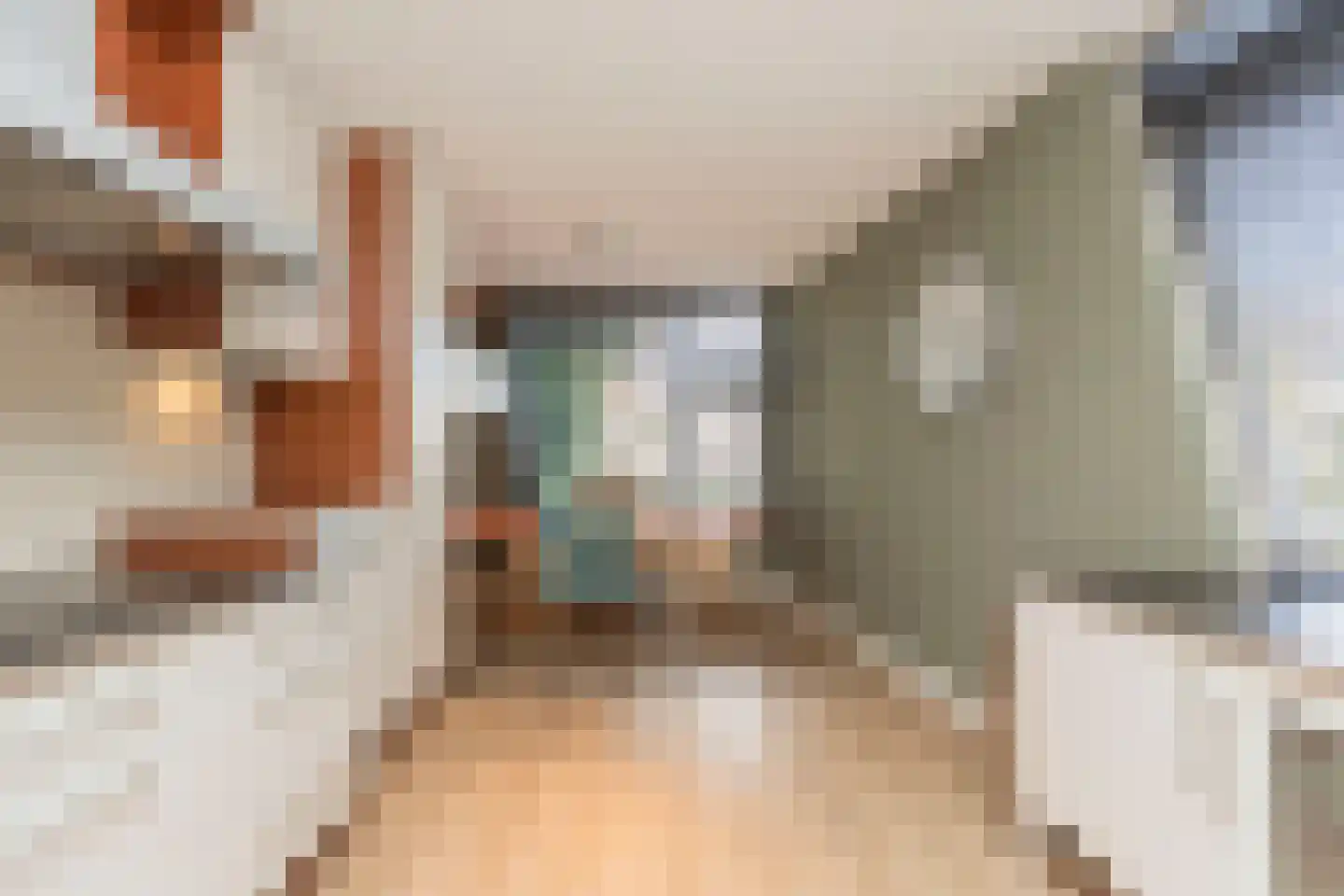 Ridderspoorhof 4 Papendrecht thumbnail 14