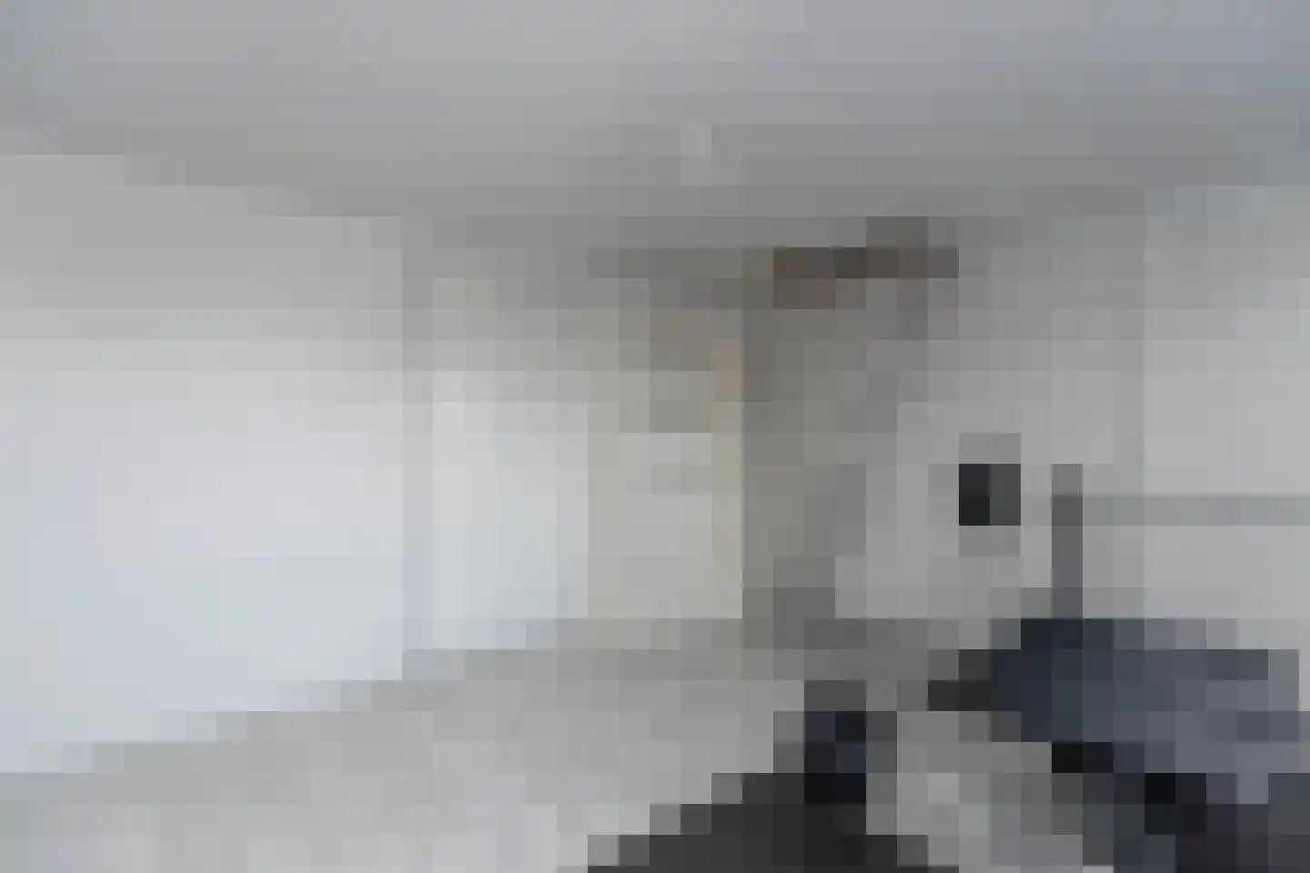 Ridderspoorhof 4 Papendrecht thumbnail 34