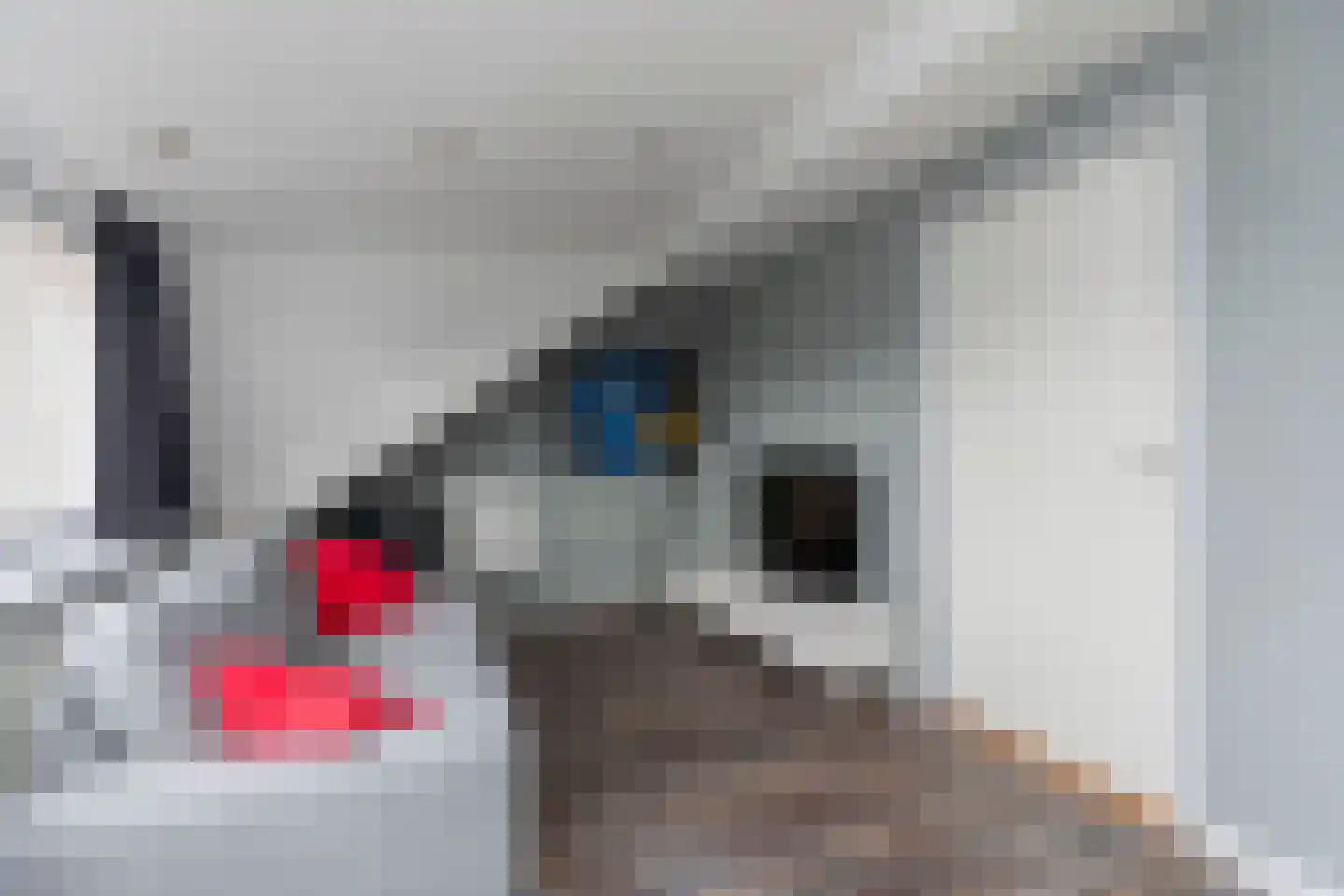 Ridderspoorhof 4 Papendrecht thumbnail 36