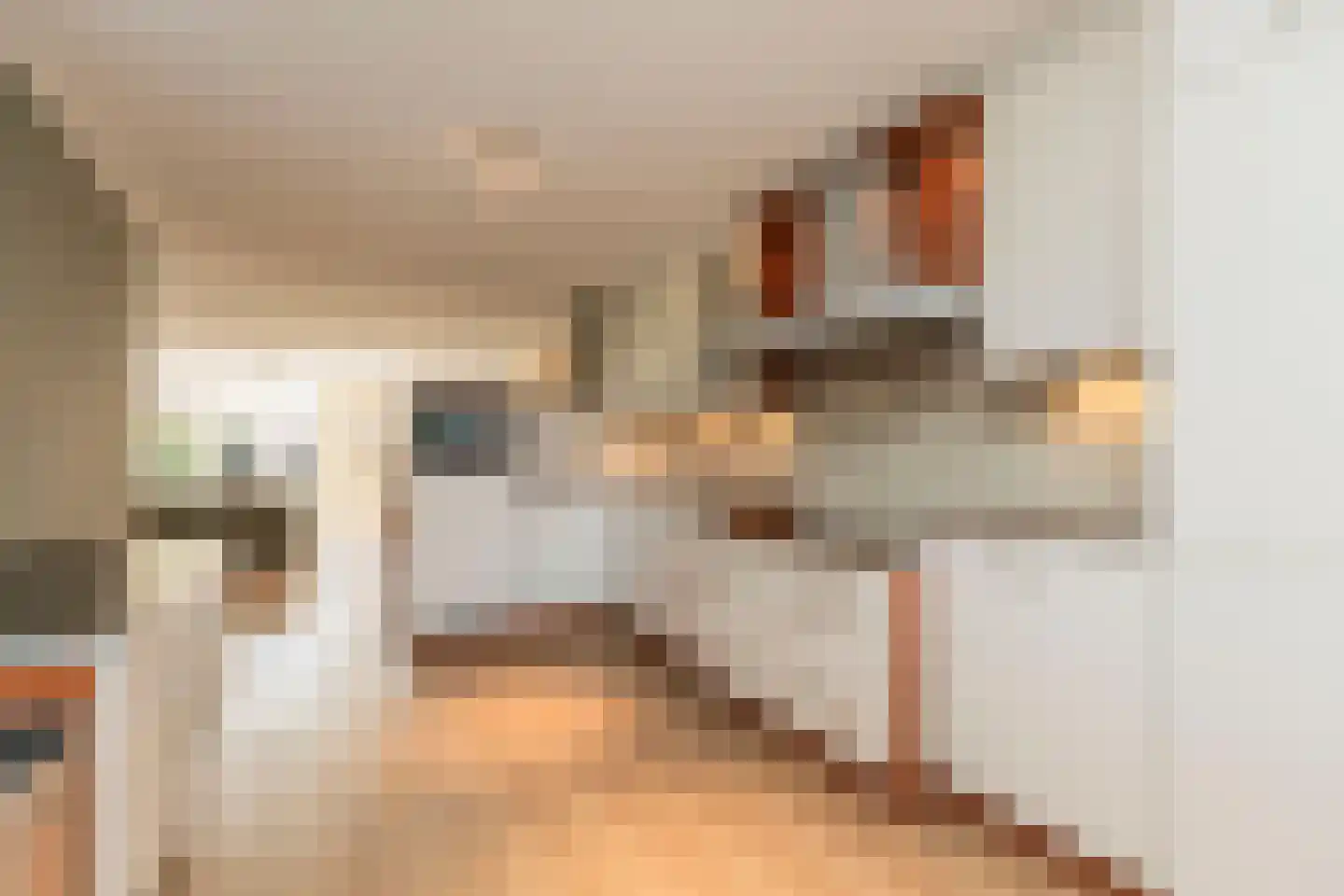 Ridderspoorhof 4 Papendrecht thumbnail 4