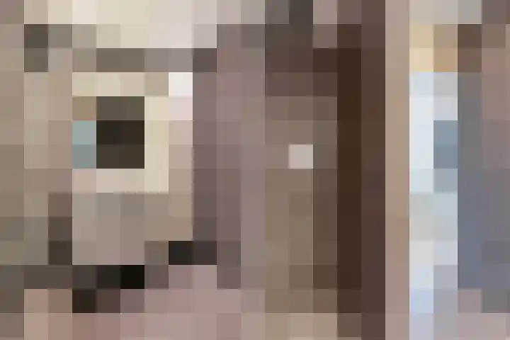 Ridderspoorhof 40 Papendrecht thumbnail 14