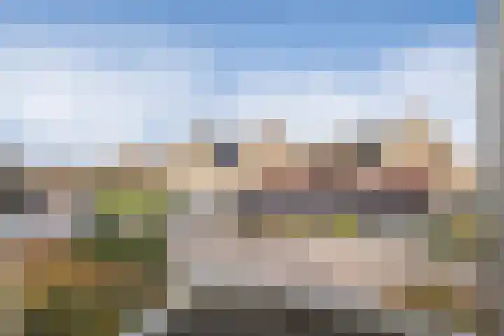 Ridderspoorhof 40 Papendrecht thumbnail 20