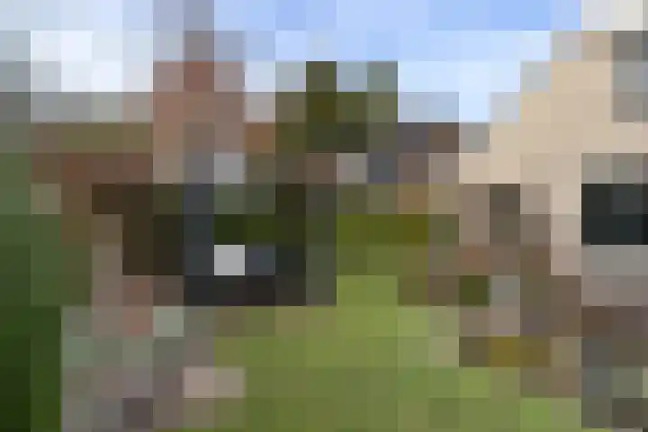 Ridderspoorhof 40 Papendrecht thumbnail 30