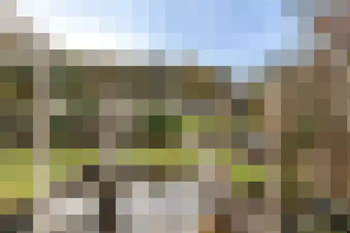 Ridderspoorhof 40 Papendrecht thumbnail 32
