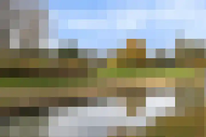 Ridderspoorhof 40 Papendrecht thumbnail 34
