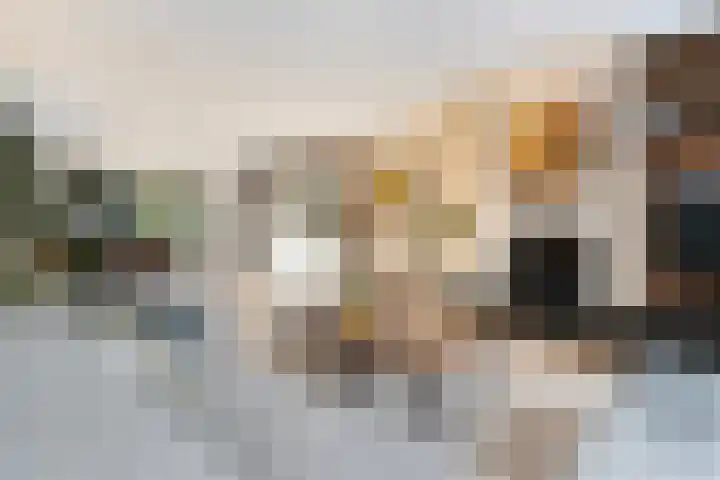 Ridderspoorhof 40 Papendrecht thumbnail 4