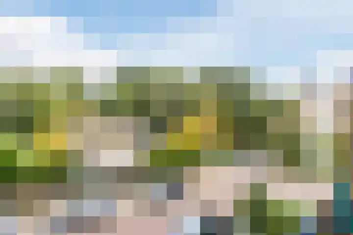 Ridderspoorlaan 11 Oegstgeest thumbnail 12