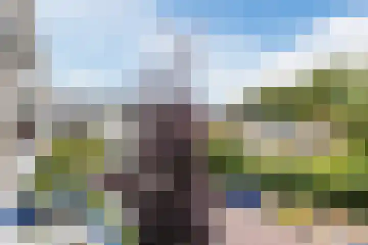 Ridderspoorlaan 11 Oegstgeest thumbnail 13