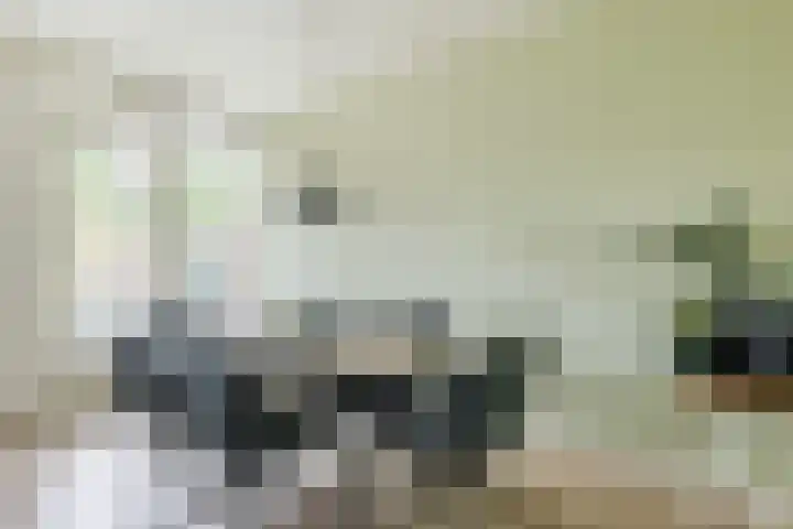 Ridderspoorlaan 11 Oegstgeest thumbnail 14