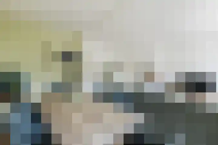 Ridderspoorlaan 11 Oegstgeest thumbnail 15