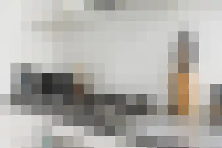 Ridderspoorlaan 11 Oegstgeest thumbnail 20