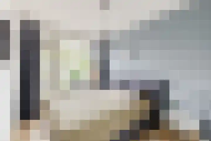 Ridderspoorlaan 11 Oegstgeest thumbnail 23
