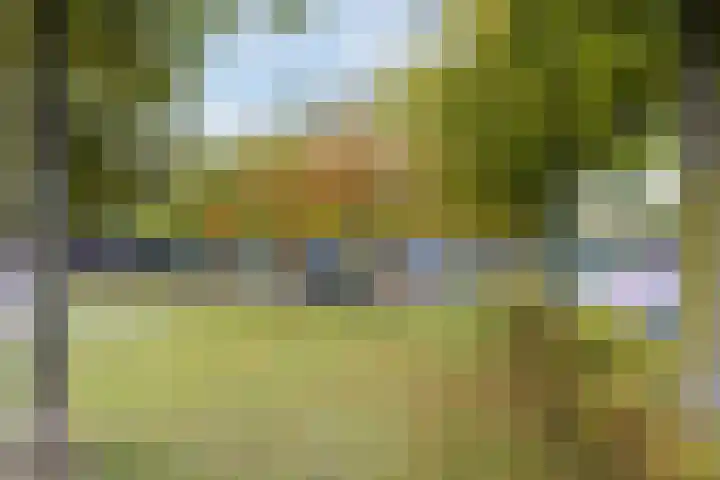 Ridderspoorlaan 11 Oegstgeest thumbnail 31