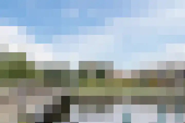 Ridderspoorlaan 11 Oegstgeest thumbnail 32