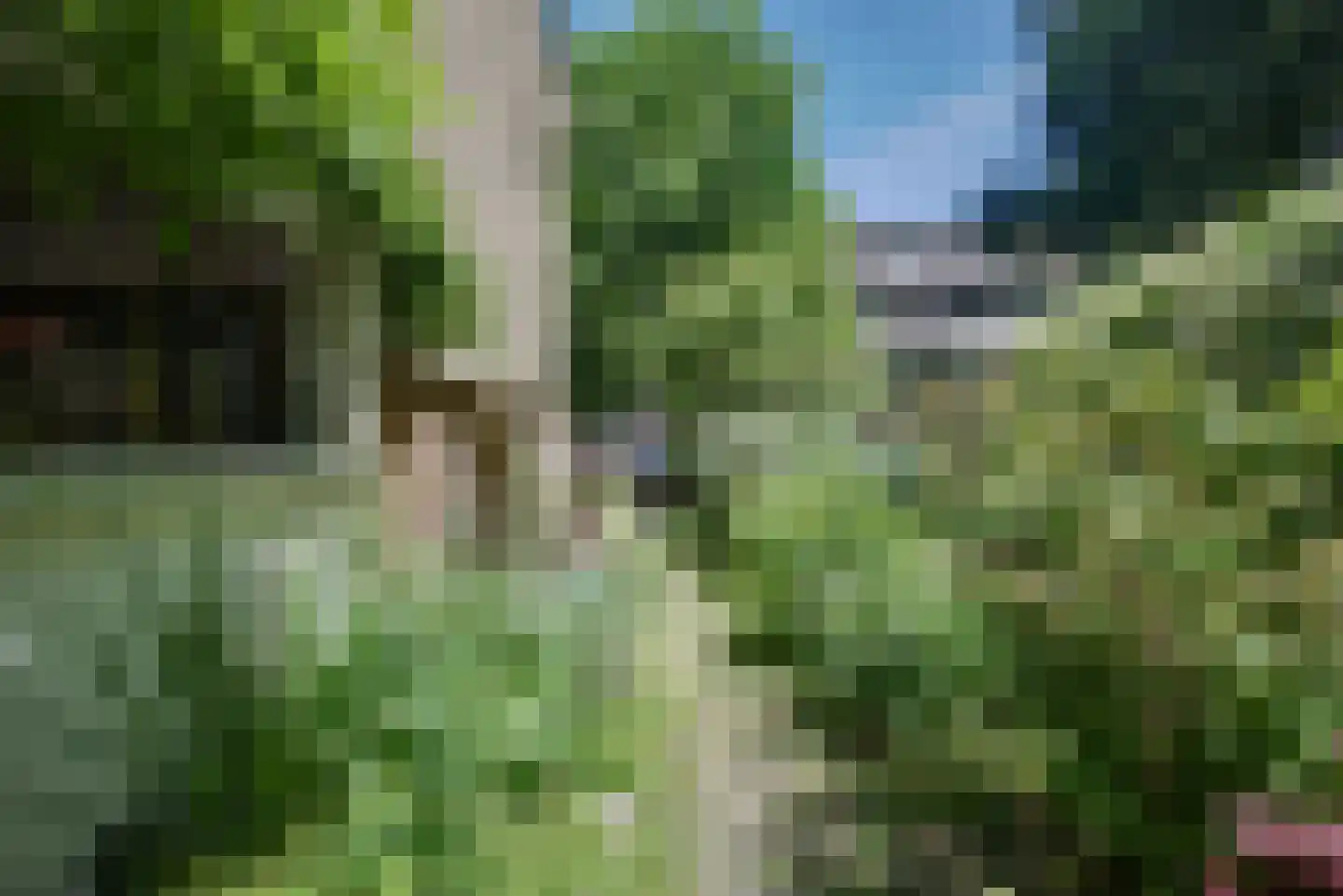 Ridderspoorlaan 12 Oegstgeest thumbnail 29