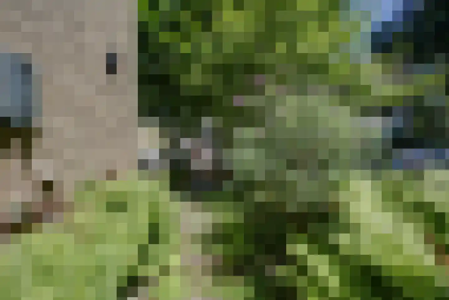Ridderspoorlaan 12 Oegstgeest thumbnail 30