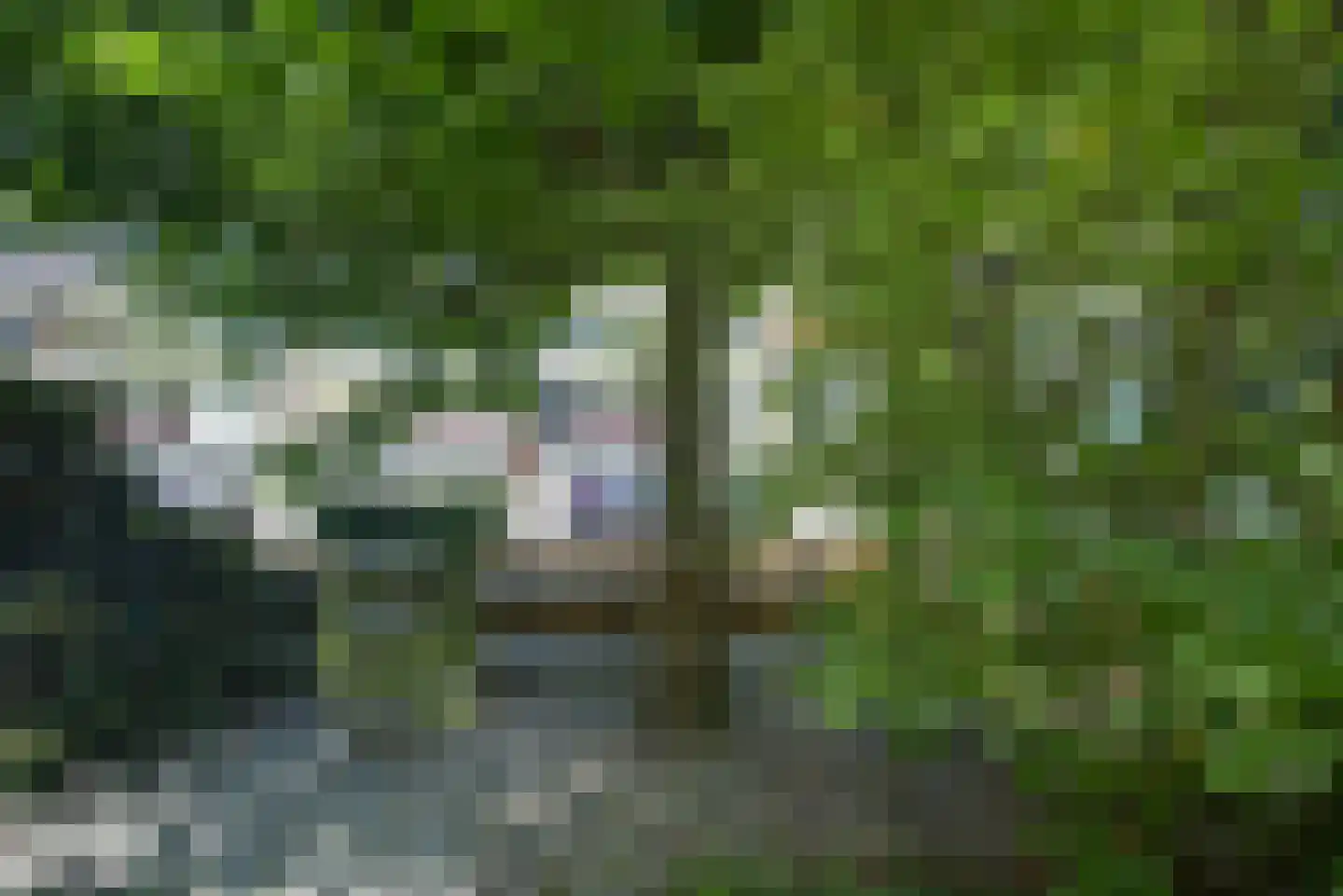 Ridderspoorlaan 12 Oegstgeest thumbnail 31