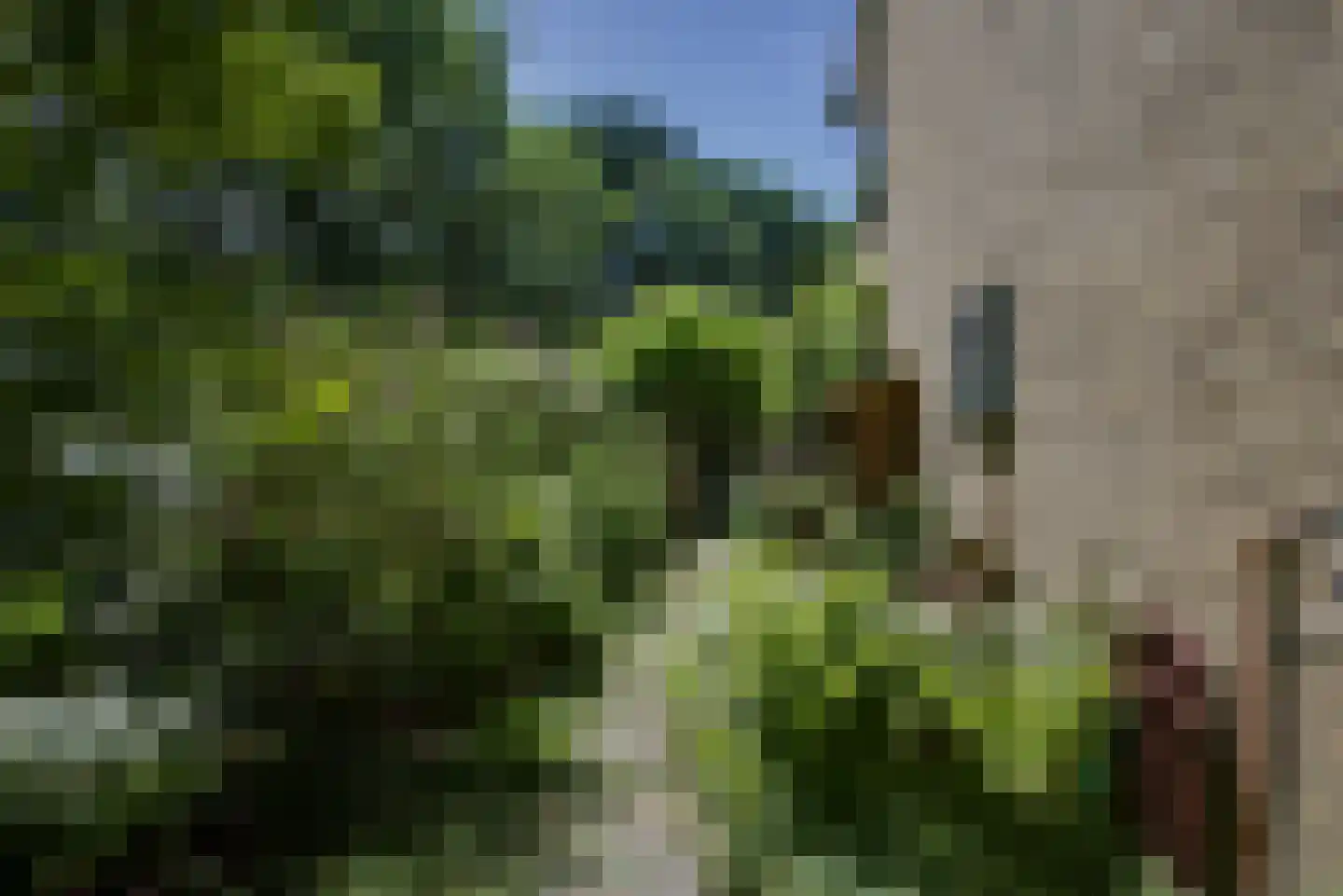Ridderspoorlaan 12 Oegstgeest thumbnail 32