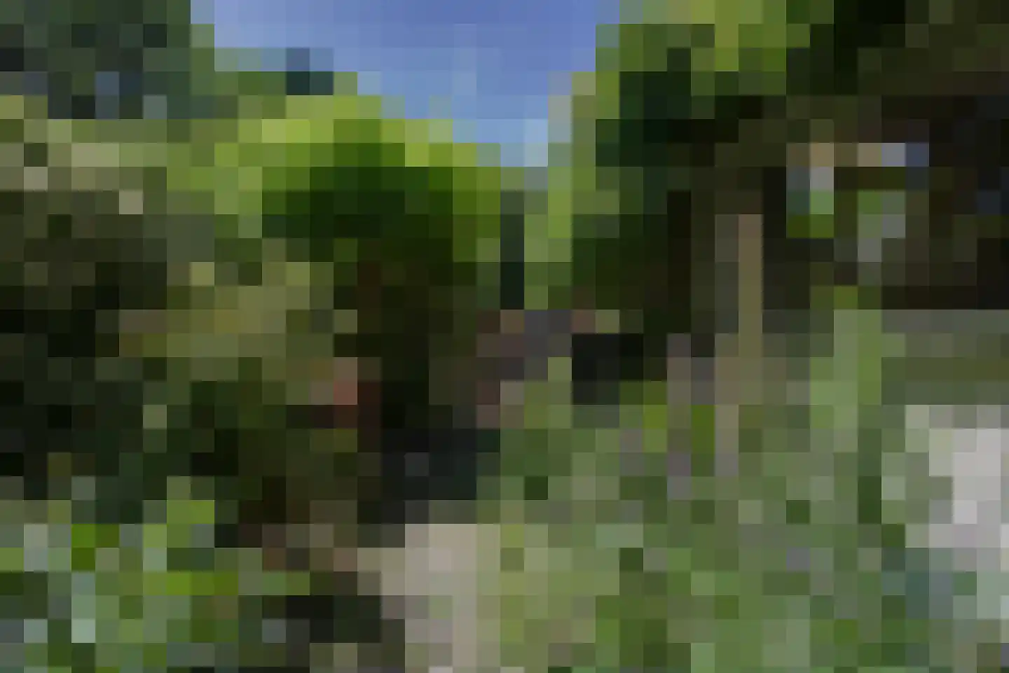 Ridderspoorlaan 12 Oegstgeest thumbnail 33