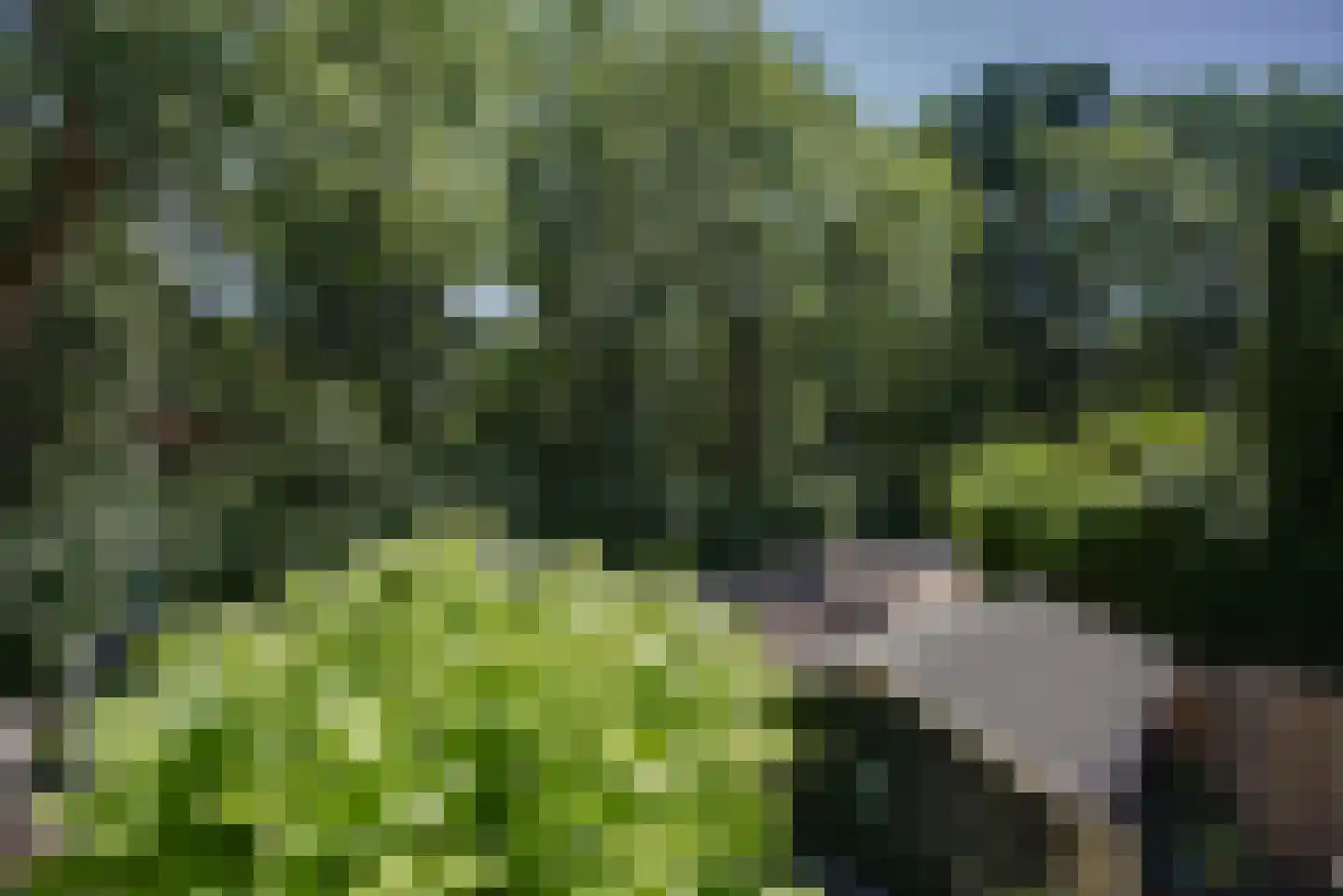 Ridderspoorlaan 12 Oegstgeest thumbnail 50