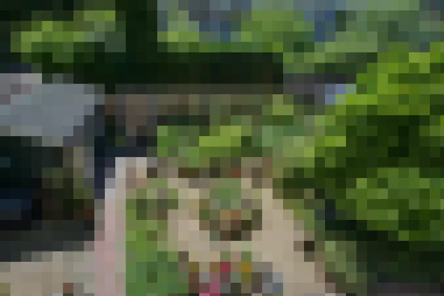 Ridderspoorlaan 12 Oegstgeest thumbnail 51