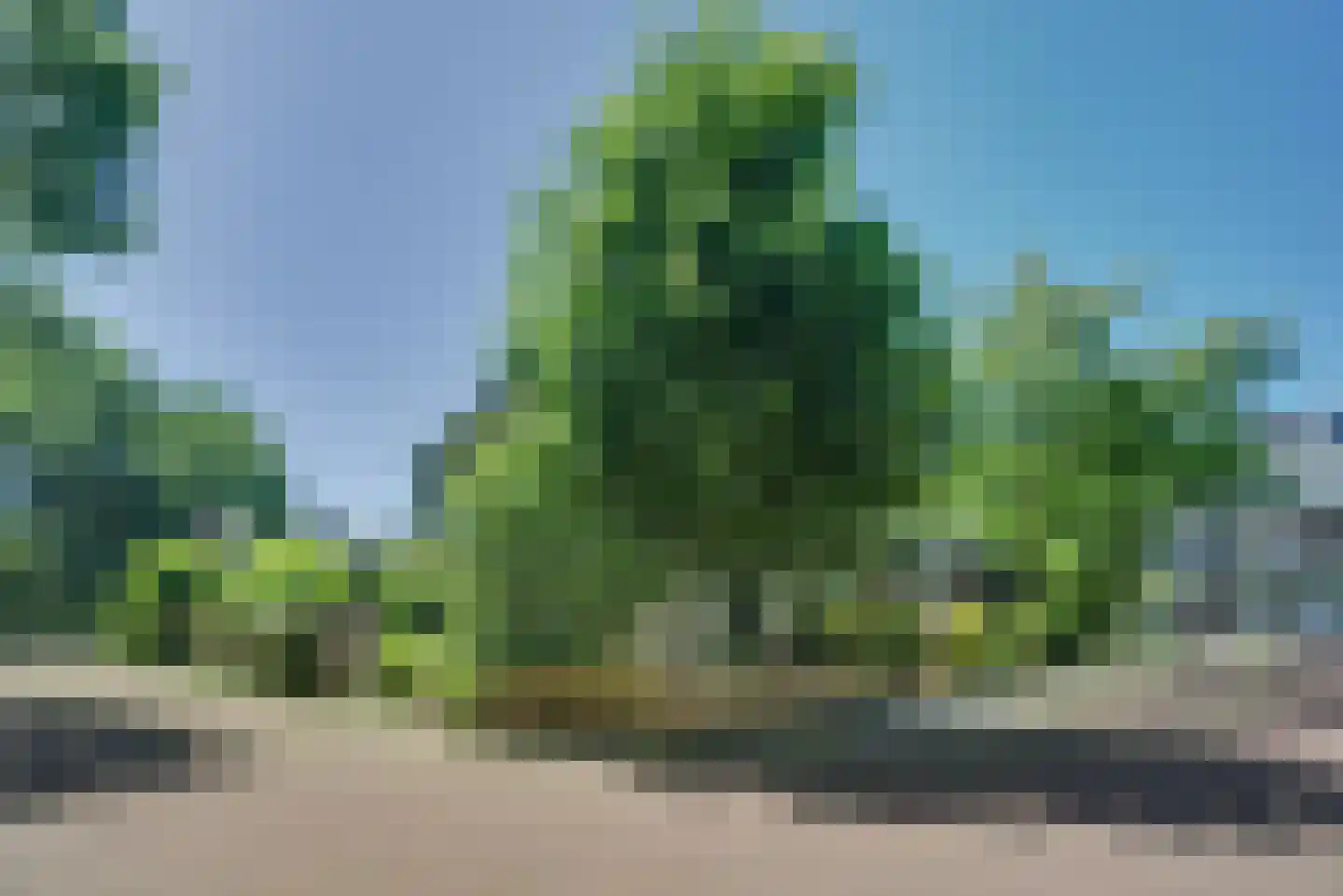 Ridderspoorlaan 12 Oegstgeest thumbnail 53