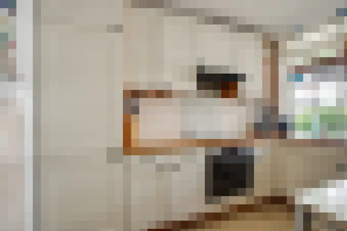 Ridderspoorlaan 12 Oegstgeest thumbnail 9