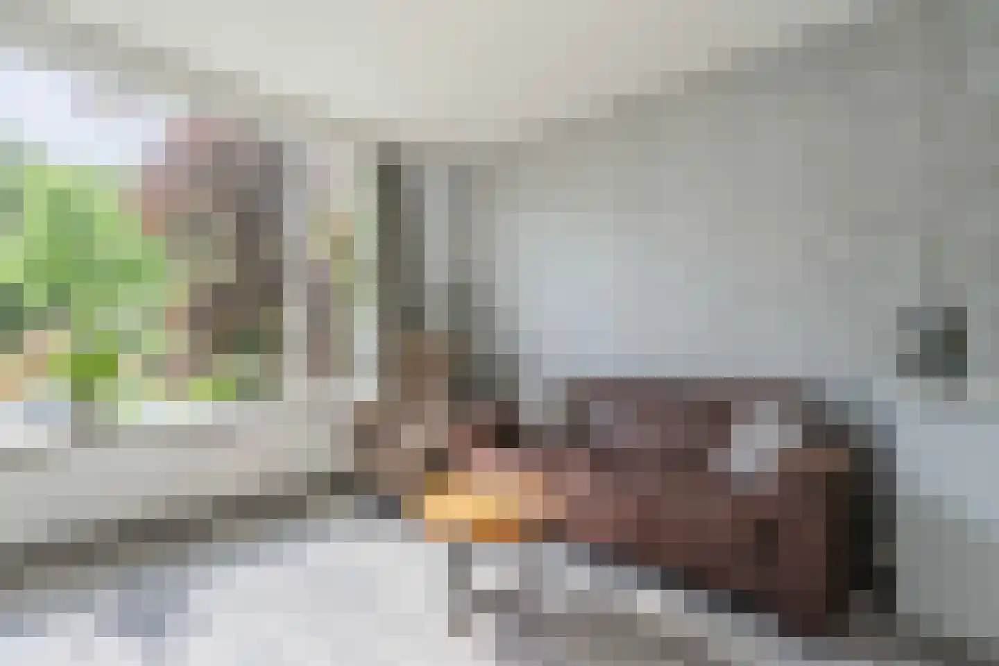 Ridderspoorlaan 17 Oegstgeest thumbnail 17