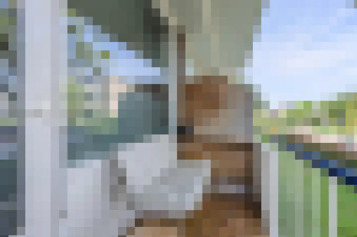 Ridderspoorlaan 17 Oegstgeest thumbnail 25