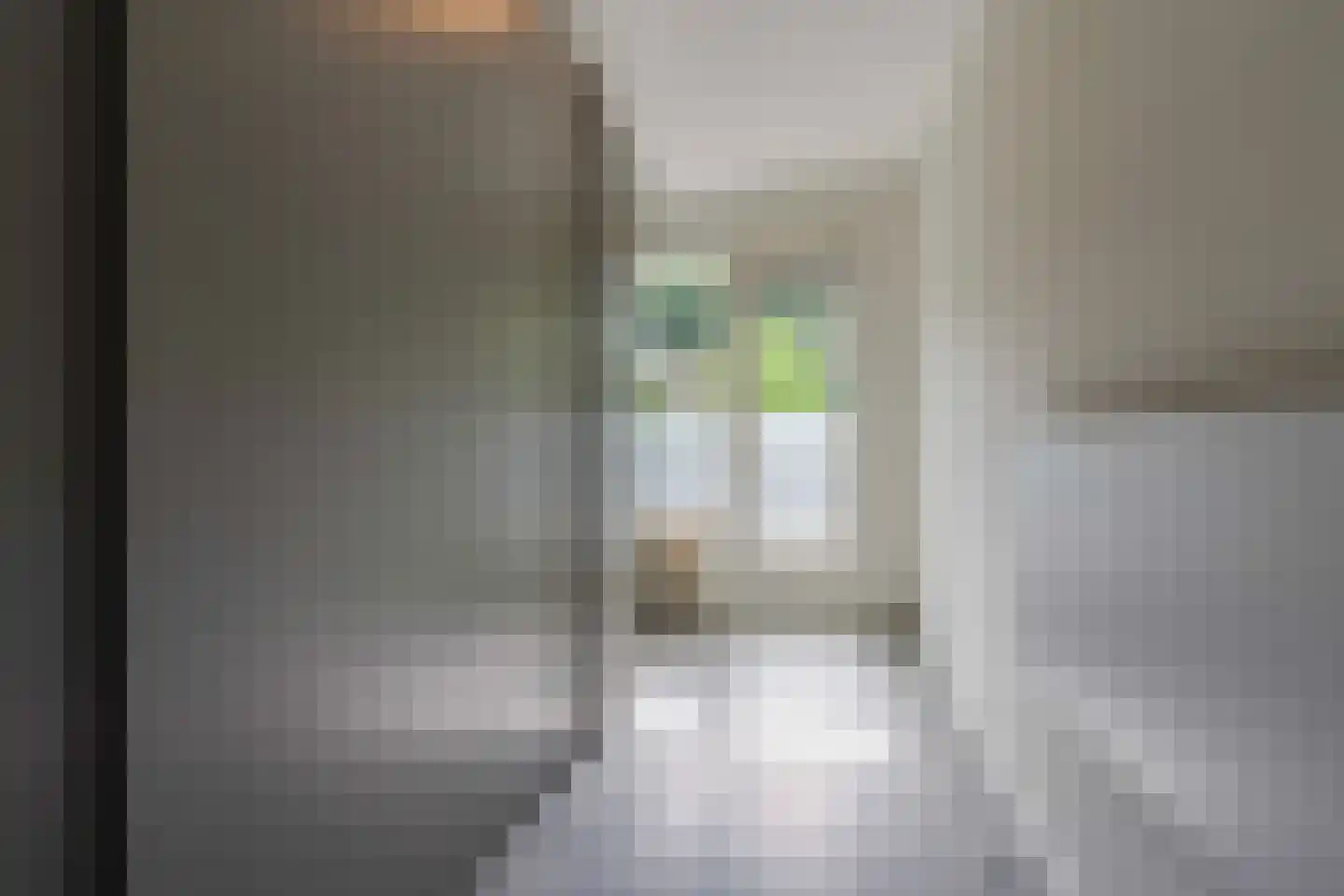 Ridderspoorlaan 17 Oegstgeest thumbnail 33