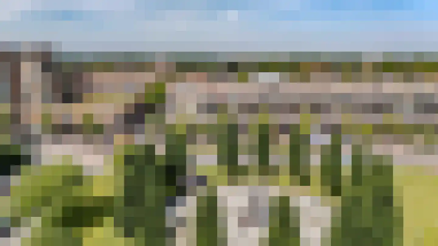 Ridderspoorlaan 17 Oegstgeest thumbnail 40