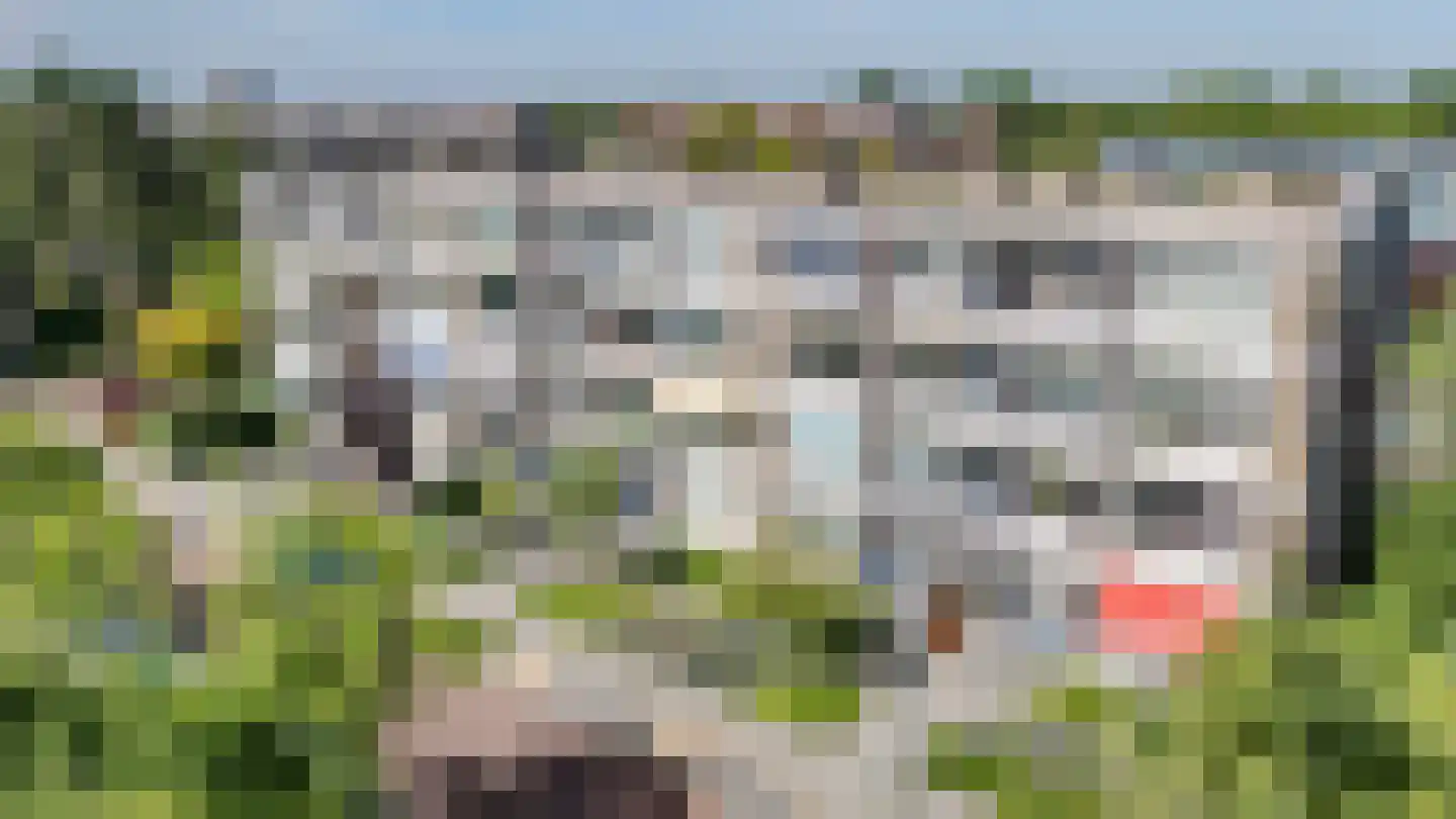 Ridderspoorlaan 17 Oegstgeest thumbnail 8