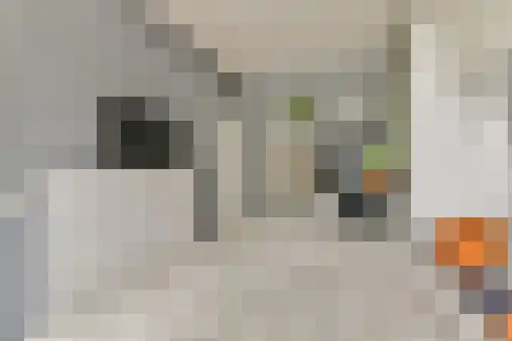 Ridderspoorlaan 19 Oegstgeest thumbnail 10
