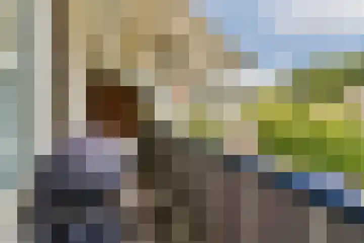 Ridderspoorlaan 19 Oegstgeest thumbnail 16